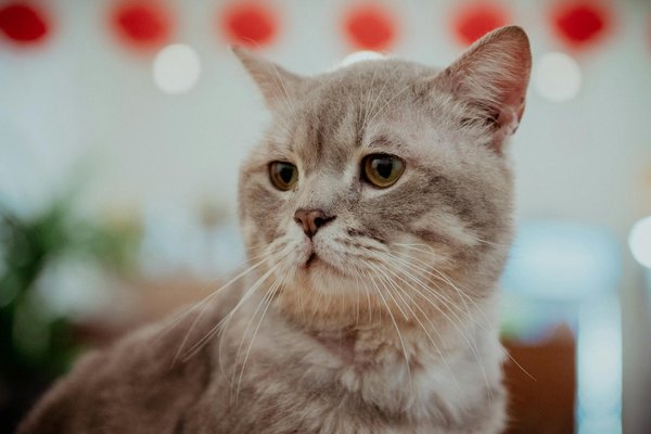 Welche Übungen sind am besten geeignet, um das Gleichgewicht in der Gymnastik zu verbessern?