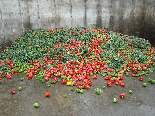 Welche Lebensmittel fördern die Gelenkgesundheit?